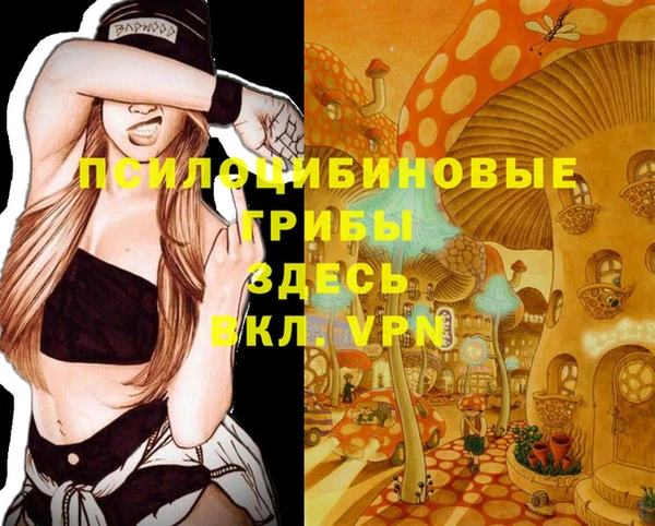 таблы Арсеньев