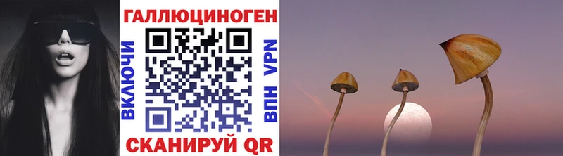 Купить закладки  Полысаево  Псилоцибиновые грибы прущие грибы 